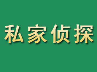 邗江市私家正规侦探