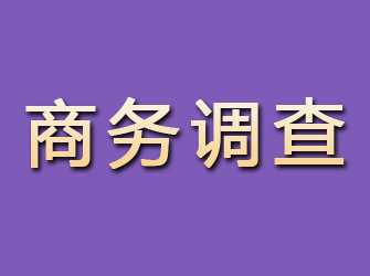 邗江商务调查